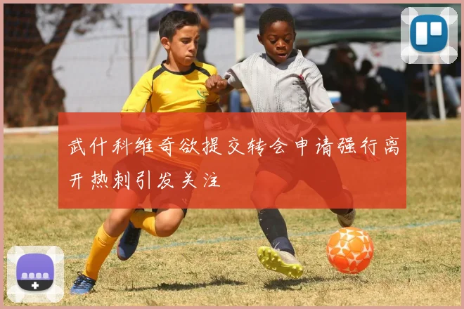 武什科维奇欲提交转会申请强行离开热刺引发关注